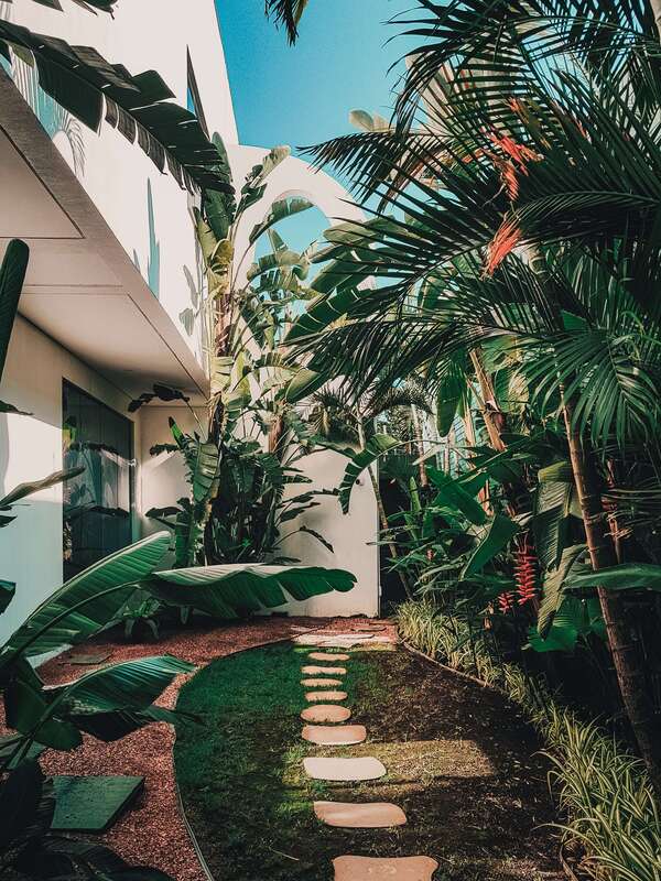 home in Altamonte Springs with walkway through tropical plant life